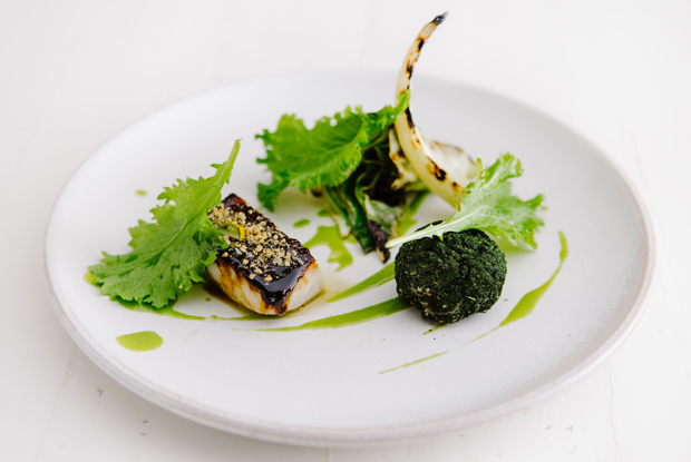 Mani-LATAM-2018-DISH1